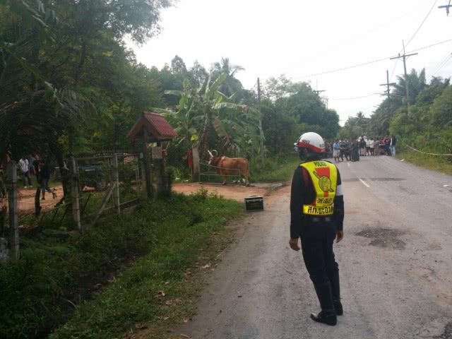 ถล่มอาวุธสงคราม ดับอดีตรองนายกฯอบจ.นครศรีฯเช้ามืด ขณะอาบน้ำให้วัว