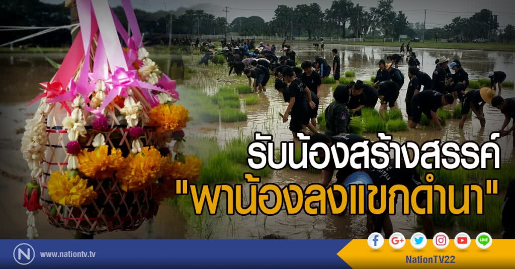 รับน้องสร้างสรรค์
"พาน้องลงแขกดำนา"