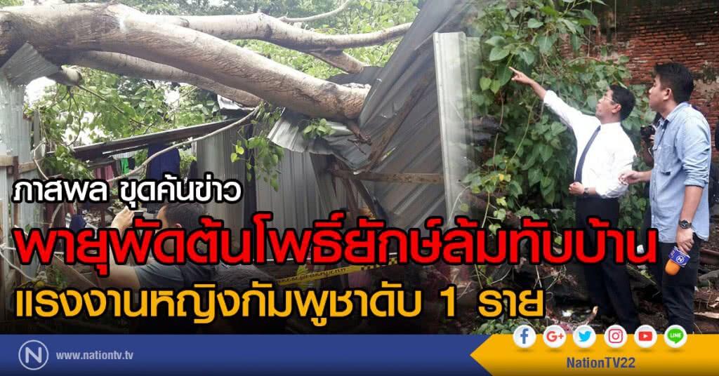 ภาสพล ขุดค้นข่าว พายุพัดต้นโพธิ์ยักษ์ล้มทับบ้าน แรงงานหญิงกัมพูชาดับ 1 ราย