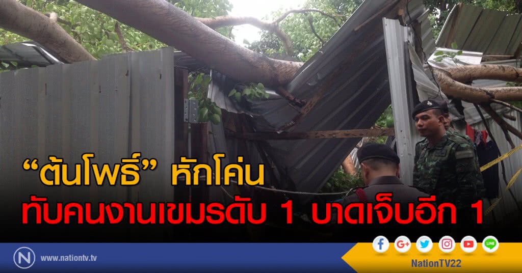 "ต้นโพธิ์" หักโค่น
ทับคนงานเขมรดับ 1 บาดเจ็บอีก 1 "ต้นโพธิ์" หักโค่น
ทับคนงานเขมรดับ 1 บาดเจ็บอีก 1