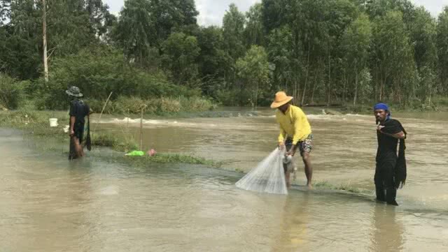 ชาวนาสุรินทร์ระทมหนัก!! น้ำท่วมนาข้าวกว่า 70,000 ไร่ เสียหาย
