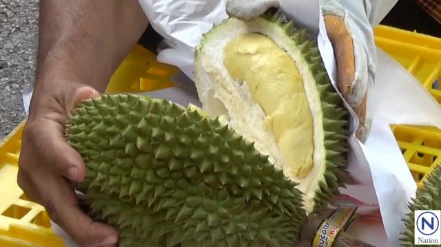 ทุเรียนหลงรักไทยล็อตแรกจากสวน
มาขายศาลากลางพิษณุโลกให้ ปชช.ชิมถึงที่