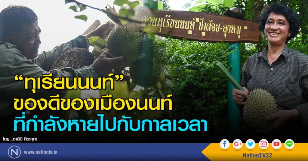 "ทุเรียนนนท์" ของดีของเมืองนนท์ที่กำลังหายไปกับกาลเวลา