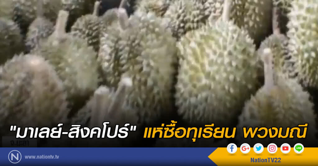 "มาเลย์ - สิงคโปร์" แห่ซื้อทุเรียน พวงมณี "มาเลย์ - สิงคโปร์" แห่ซื้อทุเรียน พวงมณี