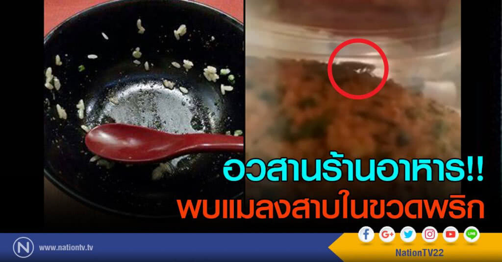 อวสานร้านอาหาร...พบแมลงสาบในขวดพริก