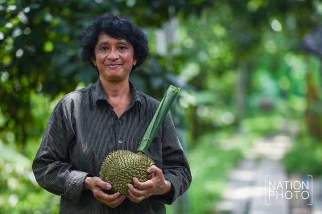 "ทุเรียนนนท์" ของดีของเมืองนนท์ที่กำลังหายไปกับกาลเวลา