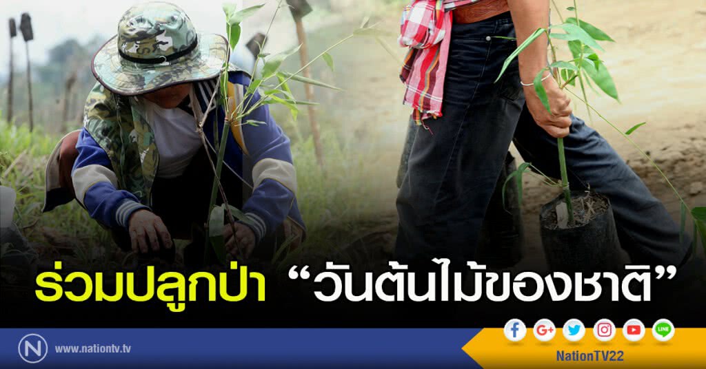 ร่วมปลูกป่า "วันต้นไม้ของชาติ" ร่วมปลูกป่า "วันต้นไม้ของชาติ"