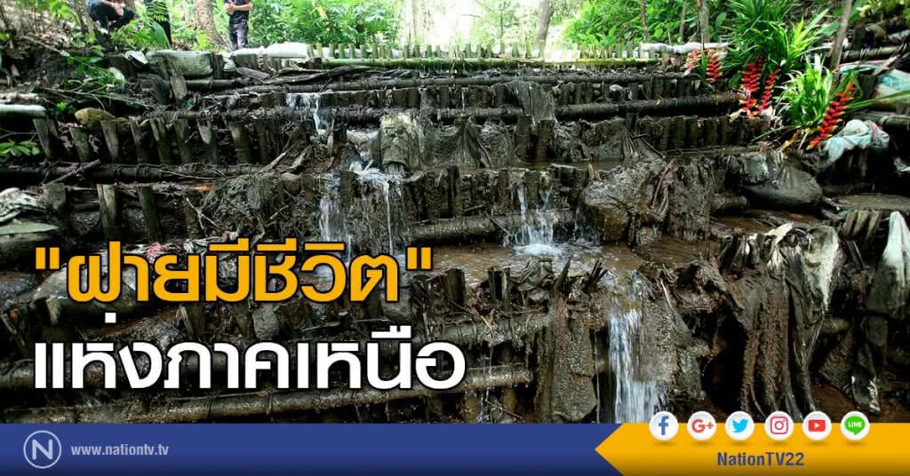 "ฝายมีชีวิต" แห่งภาคเหนือ ณ ป่าบ้านห้วยหินฝน อ.แม่สอด จ.ตาก