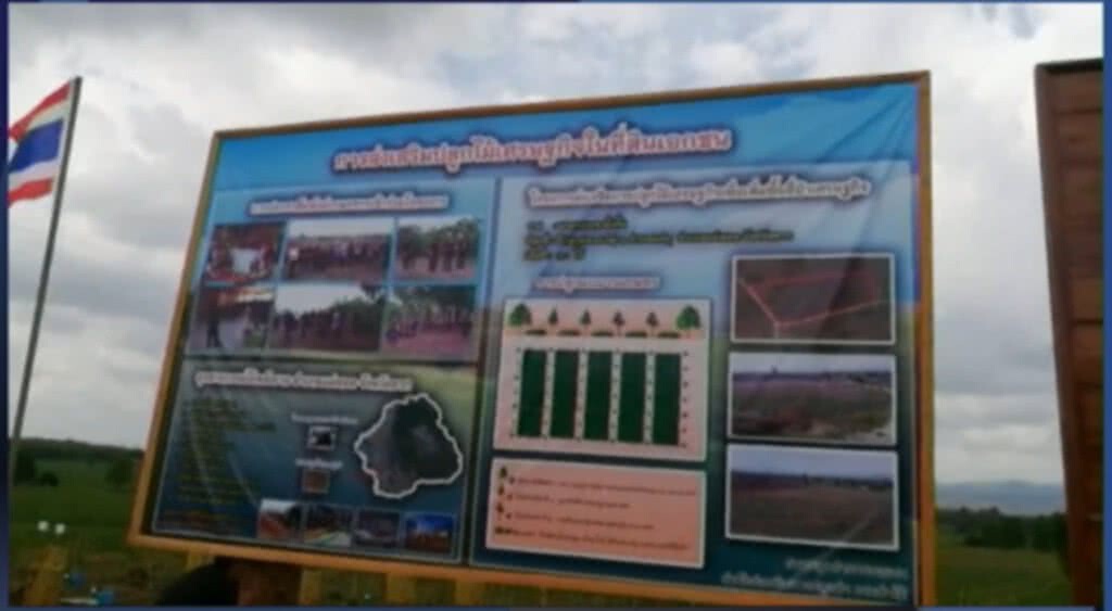 หนุนประชาชนปลูกพืชเศรษฐกิจเพิ่มป่า หนุนประชาชนปลูกพืชเศรษฐกิจเพิ่มป่า