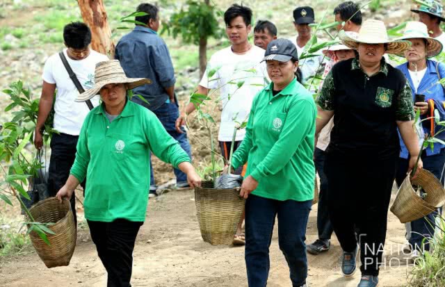 ร่วมปลูกป่า "วันต้นไม้ของชาติ"