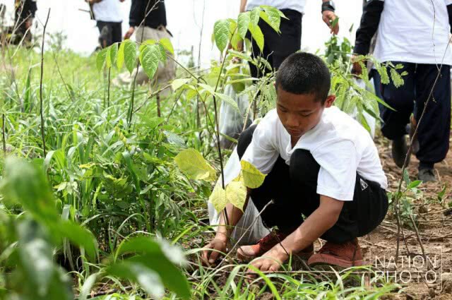 ร่วมปลูกป่า "วันต้นไม้ของชาติ"