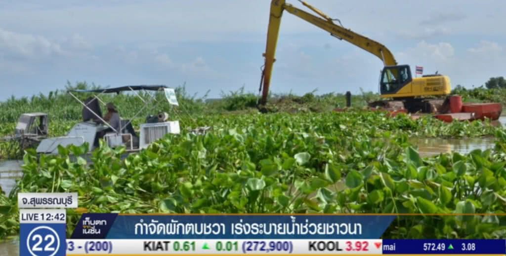 สุพรรณบุรี เร่งกำจัดผักตบชวา เพื่อระบายน้ำช่วยชาวนา สุพรรณบุรี เร่งกำจัดผักตบชวา เพื่อระบายน้ำช่วยชาวนา