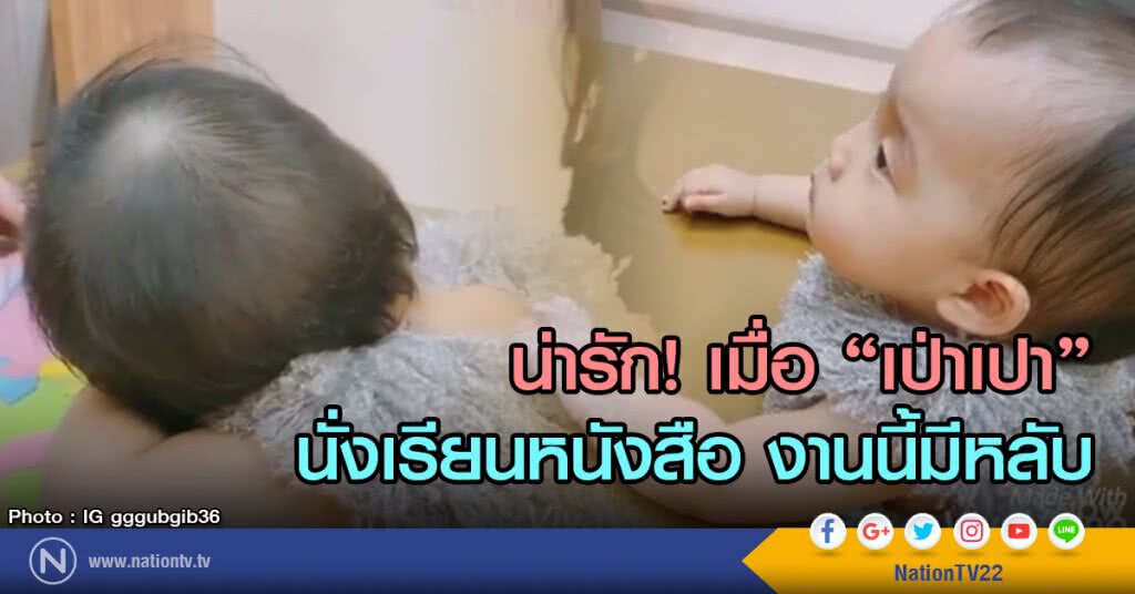 น่ารัก เมื่อ "เป่าเปา" นั่งเรียนหนังสือ งานนี้มีหลับ น่ารัก เมื่อ "เป่าเปา" นั่งเรียนหนังสือ งานนี้มีหลับ