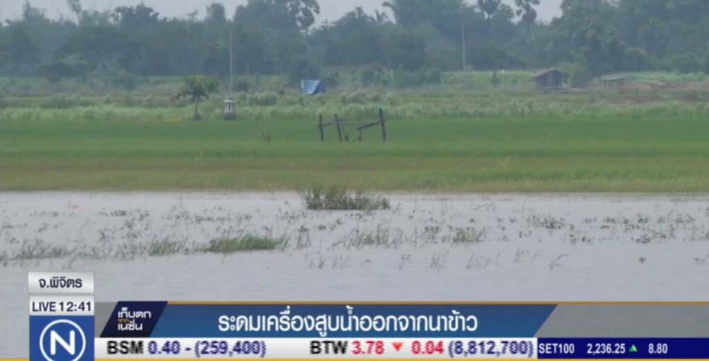 เจ้าหน้าที่ระดมสูบน้ำออกจากนาข้าว เจ้าหน้าที่ระดมสูบน้ำออกจากนาข้าว