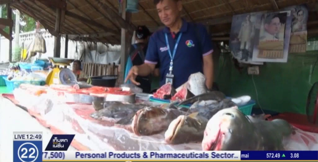 หน้าน้ำ......ตลาดปลาพิษณุโลก คึกคัก