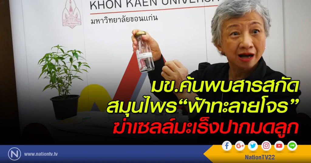 มข.ค้นพบสารสกัดสมุนไพร"ฟ้าทะลายโจร"ฆ่าเซลล์มะเร็งปากมดลูก มข.ค้นพบสารสกัดสมุนไพร"ฟ้าทะลายโจร"ฆ่าเซลล์มะเร็งปากมดลูก