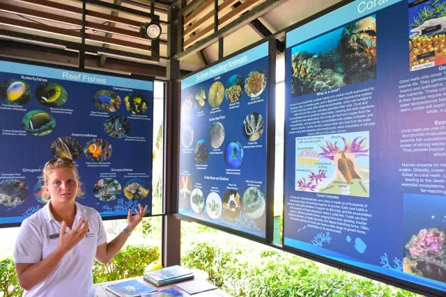 Chic-in : โรงแรม แมริออท รีสอร์ท ภูเก็ต เมอรีน บีช เสน่ห์แห่งท้องทะเลเกาะภูเก็ต