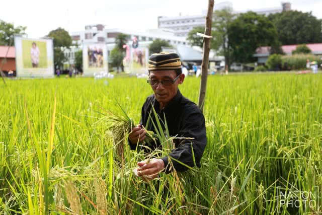สมเด็จพระเทพฯ เสด็จพระราชดำเนิน เป็นองค์ประธานในพิธีเปิดงานวันข้าวและชาวนาแห่งชาติ
