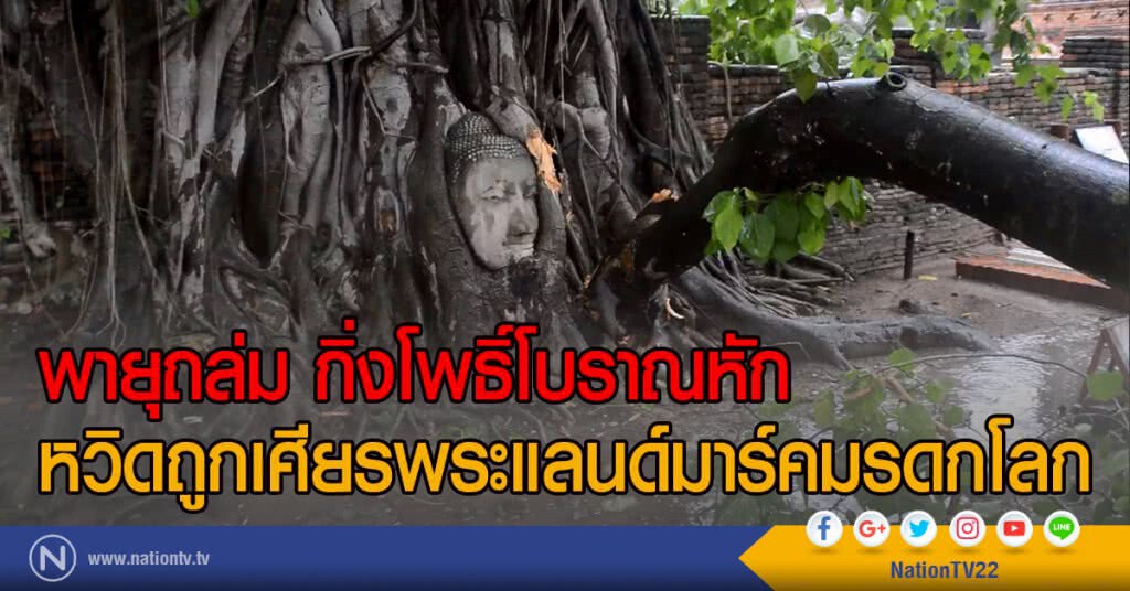 พายุถล่ม กิ่งโพธิ์โบราณหัก
หวิดถูกเศียรพระแลนด์มาร์คมรดกโลก