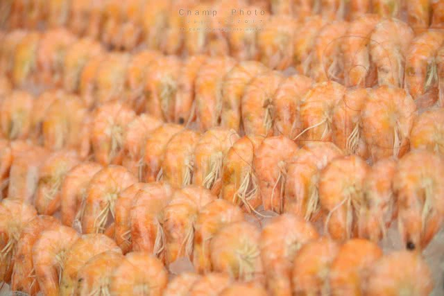 Chic-in : โรงแรม A-ONE พัทยา Pool Party  สุดมันส์ สนุก อร่อยในที่เดียว ใกล้ๆกรุงเทพฯ