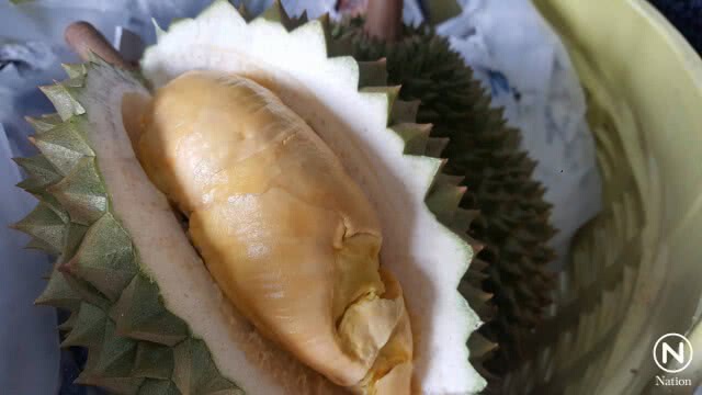 ฮือฮา! ทุเรียนพันธุ์ใหม่เมืองลับแล "ไหลหัวดง"