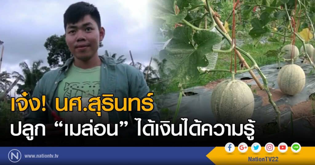 เจ๋ง! นศ.สุรินทร์ปลูก 'เมล่อน' ได้เงินได้ความรู้