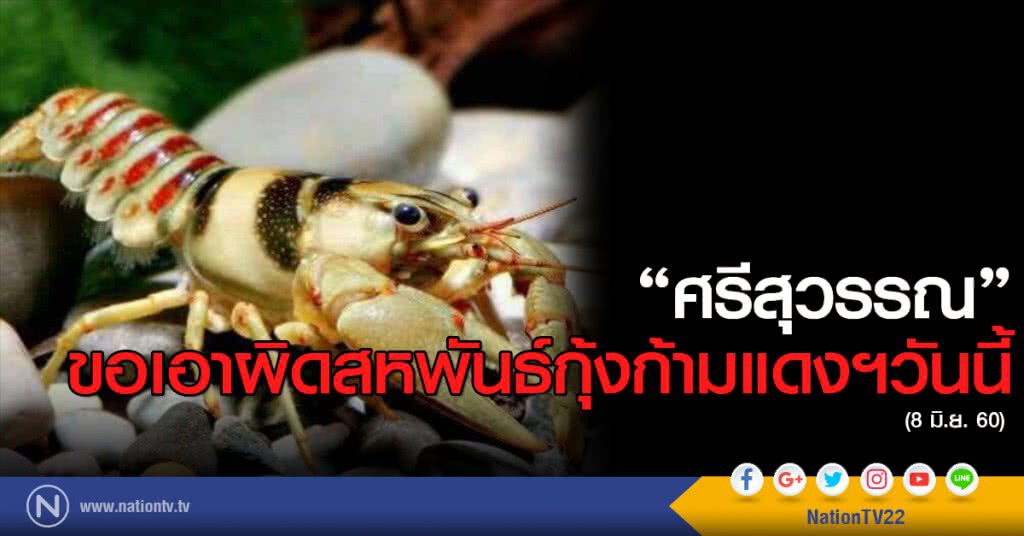 "ศรีสุวรรณ" ขอเอาผิดสหพันธ์กุ้งก้ามแดงฯ วันนี้ "ศรีสุวรรณ" ขอเอาผิดสหพันธ์กุ้งก้ามแดงฯ วันนี้
