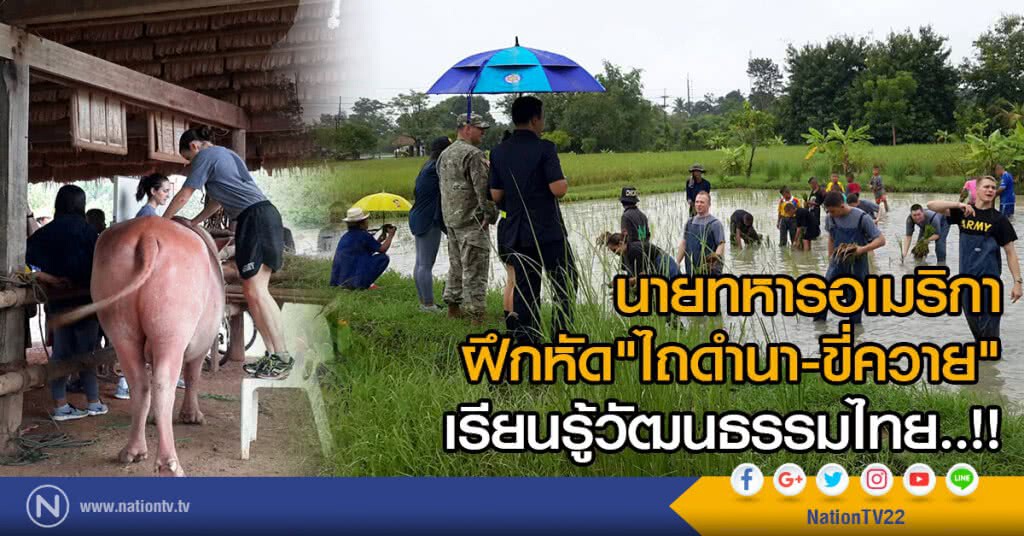 นายทหารอเมริกา ฝึกหัด"ไถดำนา-ขี่ควาย"
เรียนรู้วัฒนธรรมไทย