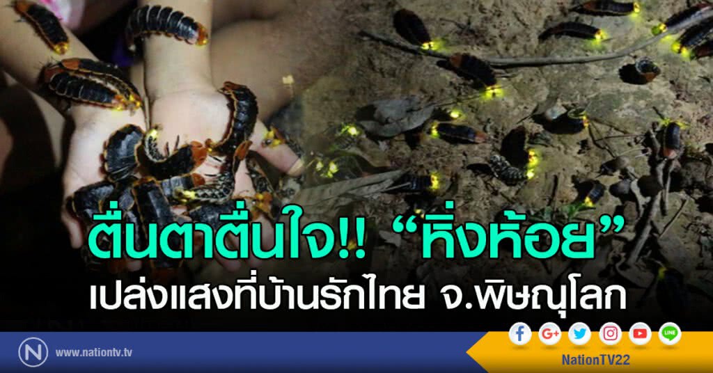 ตื่นตาตื่นใจ!! "หิ่งห้อย" เปล่งแสงที่บ้านรักไทย จ.พิษณุโลก ตื่นตาตื่นใจ!! "หิ่งห้อย" เปล่งแสงที่บ้านรักไทย จ.พิษณุโลก