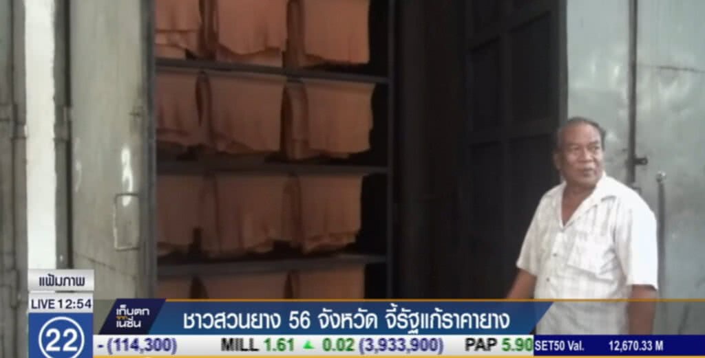 ชาวสวนยางทั่วประเทศ จี้รัฐบาลแก้ปัญหาราคาตกต่ำ ชาวสวนยางทั่วประเทศ จี้รัฐบาลแก้ปัญหาราคาตกต่ำ