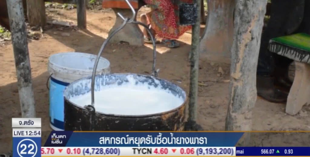 สหกรณ์ จ.ตรัง หยุดรับซื้อน้ำยางพารา หลังราคาตกต่ำ สหกรณ์ จ.ตรัง หยุดรับซื้อน้ำยางพารา หลังราคาตกต่ำ