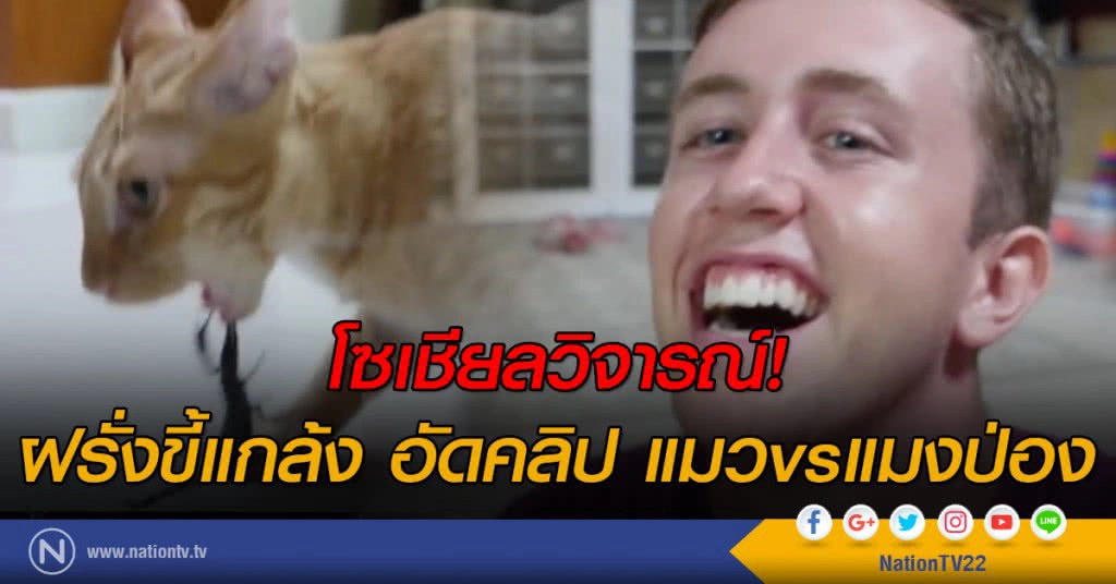 โซเชียลวิจารณ์! 
ฝรั่งขี้แกล้ง อัดคลิป แมวvsแมงป่อง