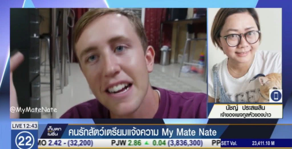 คนรักสัตว์ เตรียมฟ้อง "My Mate Nate" โพสต์แมวสู้แมงป่อง คนรักสัตว์ เตรียมฟ้อง "My Mate Nate" โพสต์แมวสู้แมงป่อง