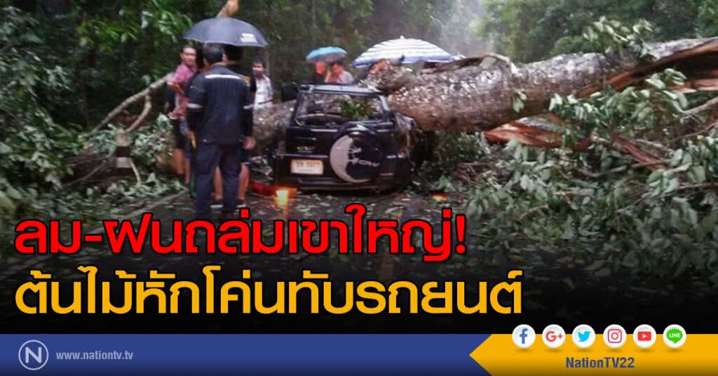 ลม-ฝนถล่มเขาใหญ่! ต้นไม้หักโค่นทับรถยนต์ ลม-ฝนถล่มเขาใหญ่! ต้นไม้หักโค่นทับรถยนต์