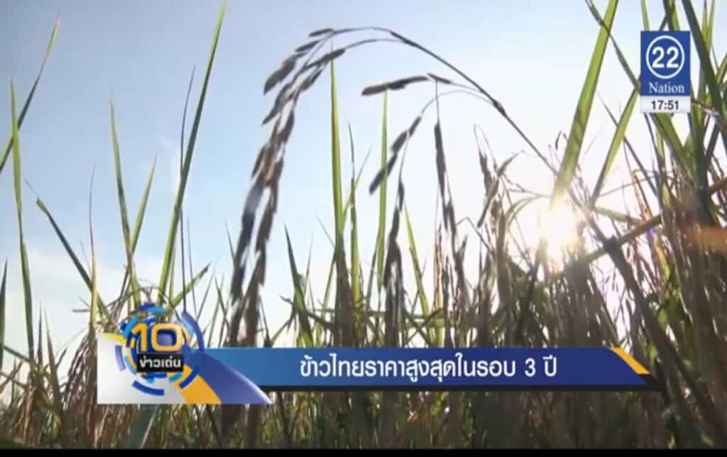 ราคาส่งออกข้าวไทย สูงสุดรอบ 3 ปี ราคาส่งออกข้าวไทย สูงสุดรอบ 3 ปี