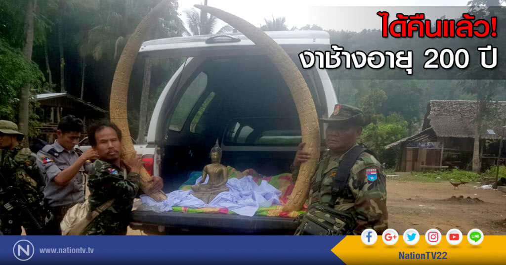 ได้คืนแล้ว! งาช้างอายุ 200 ปี ได้คืนแล้ว! งาช้างอายุ 200 ปี