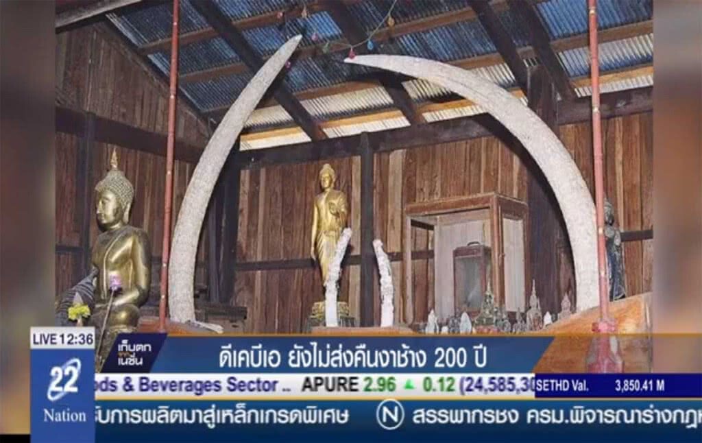 ยังไม่ส่งคืนงาช้าง 200 ปี ยังไม่ส่งคืนงาช้าง 200 ปี