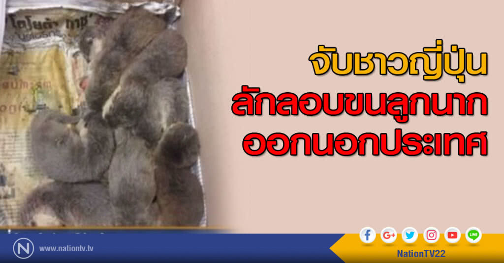 จับญี่ปุ่นนำสัตว์ป่าคุ้มครอง ออกนอกประเทศ จับญี่ปุ่นนำสัตว์ป่าคุ้มครอง ออกนอกประเทศ