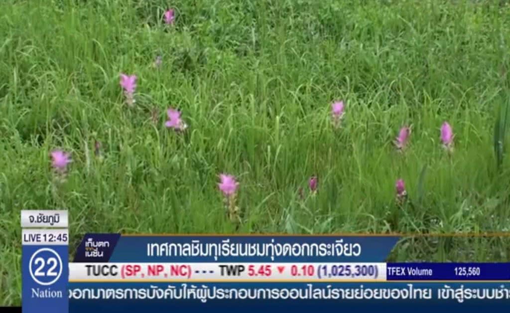 เทศกาลชิมทุเรียน ชมทุ่งดอกกระเจียว เทศกาลชิมทุเรียน ชมทุ่งดอกกระเจียว
