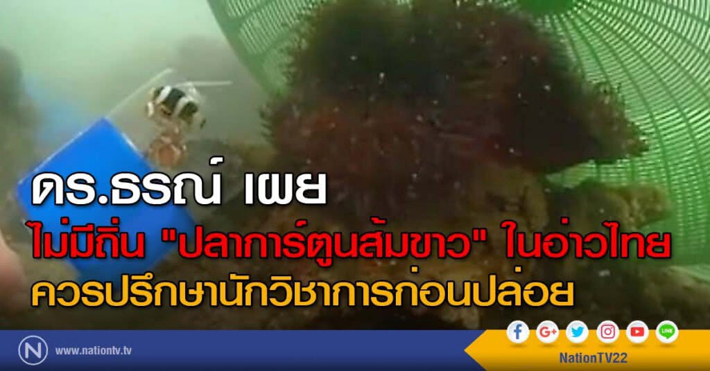 ดร.ธรณ์ เผย ไม่มีถิ่น "ปลาการ์ตูนส้มขาว" ในอ่าวไทย ควรปรึกษานักวิชาการก่อนปล่อย ดร.ธรณ์ เผย ไม่มีถิ่น "ปลาการ์ตูนส้มขาว" ในอ่าวไทย ควรปรึกษานักวิชาการก่อนปล่อย