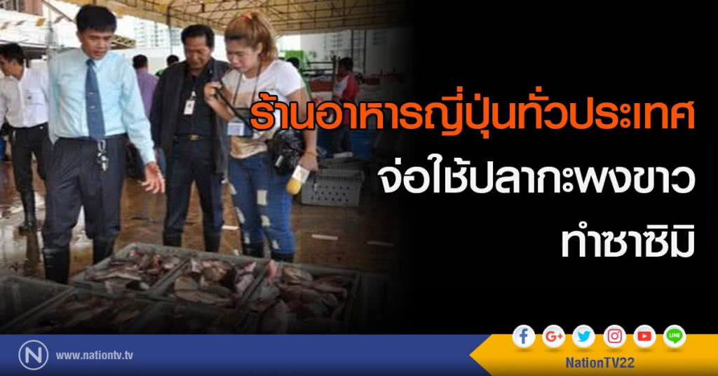 ร้านอาหารญี่ปุ่นทั่วประเทศ จ่อใช้ปลากะพงขาว ทำซาซิมิ