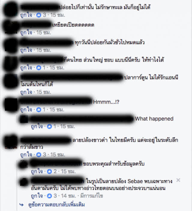 ดร.ธรณ์ เผย ไม่มีถิ่น "ปลาการ์ตูนส้มขาว" ในอ่าวไทย ควรปรึกษานักวิชาการก่อนปล่อย