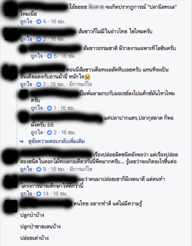ดร.ธรณ์ เผย ไม่มีถิ่น "ปลาการ์ตูนส้มขาว" ในอ่าวไทย ควรปรึกษานักวิชาการก่อนปล่อย