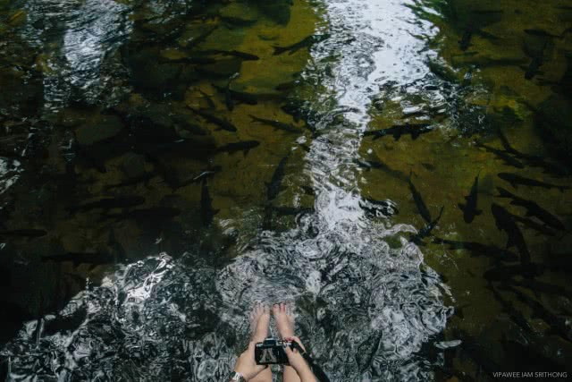 "อุทยานแห่งชาติน้ำตกพลิ้ว" จ.จันทบุรี