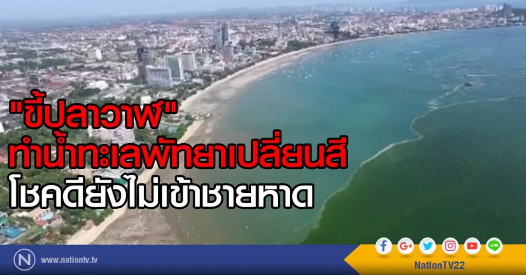"ขี้ปลาวาฬ" 
ทำน้ำทะเลพัทยาเปลี่ยนสี
โชคดียังไม่เข้าชายหาด