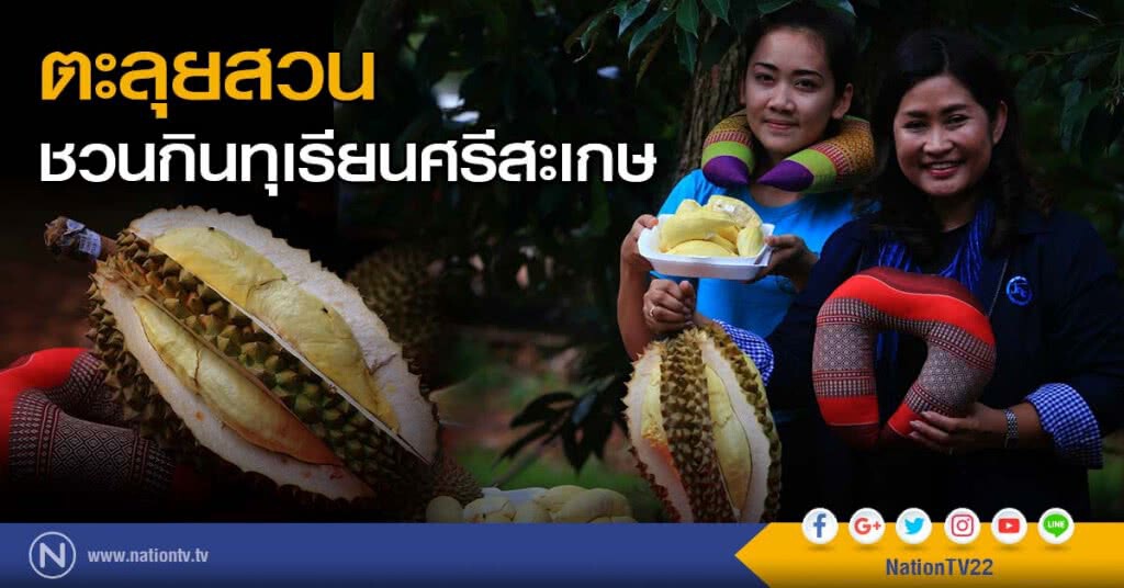 "ตะลุยสวน ชวนกินทุเรียนศรีสะเกษ"
