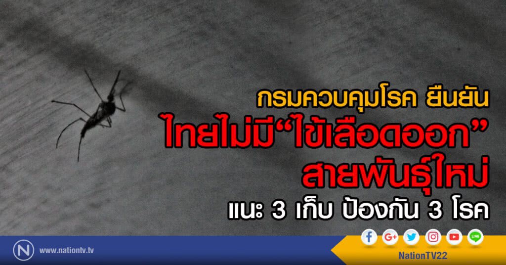 กรมควบคุมโรค ยืนยันไทย
ไม่มีไข้เลือดออกสายพันธุ์ใหม่
แนะ 3 เก็บ ป้องกัน 3 โรค กรมควบคุมโรค ยืนยันไทย
ไม่มีไข้เลือดออกสายพันธุ์ใหม่
แนะ 3 เก็บ ป้องกัน 3 โรค