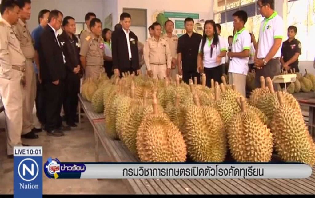 กรมวิชาการเกษตร เปิดตัวโรงคัดทุเรียน กรมวิชาการเกษตร เปิดตัวโรงคัดทุเรียน