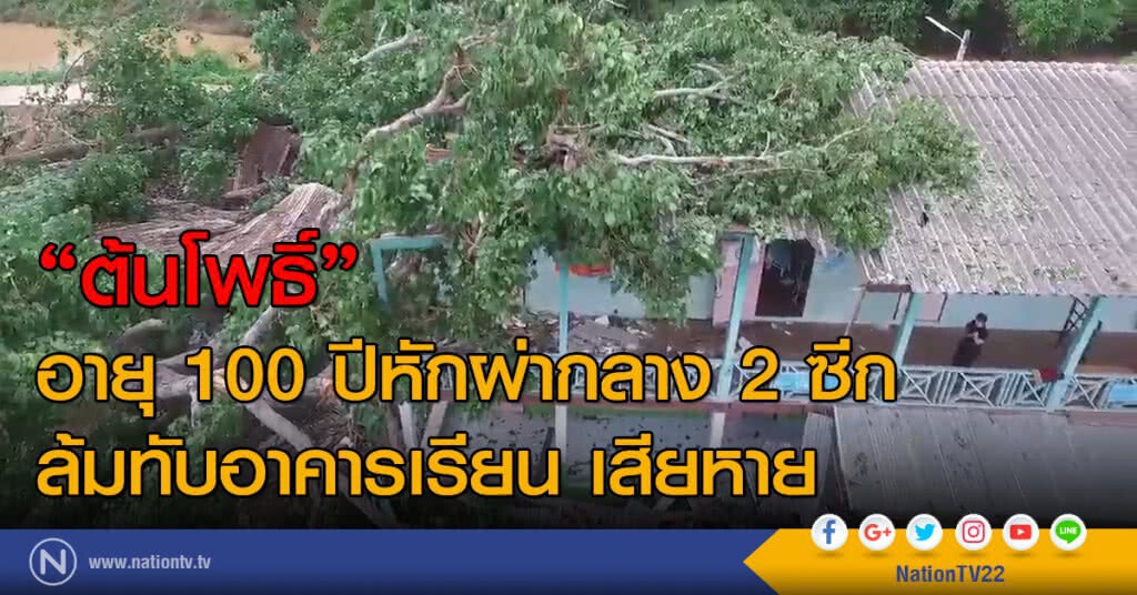 "ต้นโพธิ์" อายุ 100 ปีหักกลาง 2 ซีก ล้มทับอาคารเรียนเสียหาย "ต้นโพธิ์" อายุ 100 ปีหักกลาง 2 ซีก ล้มทับอาคารเรียนเสียหาย