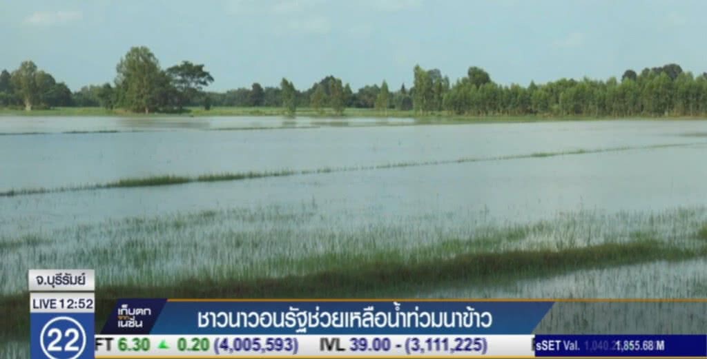 เกษตรกรวอนรัฐช่วย หลังฝนตกต่อเนื่อง ทำน้ำท่วมนา เกษตรกรวอนรัฐช่วย หลังฝนตกต่อเนื่อง ทำน้ำท่วมนา